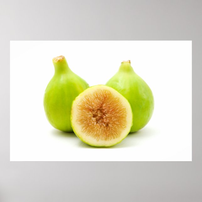 Honigfisch Poster (Vorne)