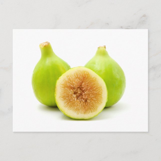 Honigfisch Postkarte (Vorderseite)