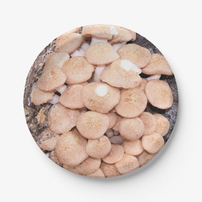 Honigpilze, die auf einer Papiertüte Pappteller (Vorderseite)