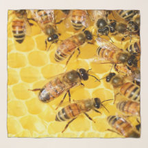 Honigwabenbienen - Seidenraupen