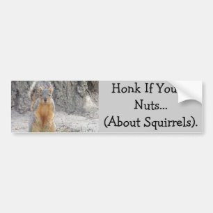 Honk, wenn Sie… über Eichhörnchen Nuts sind Autoaufkleber