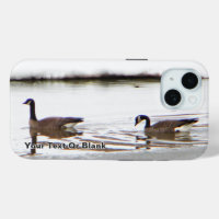 Honkers - Kanada - Gänse