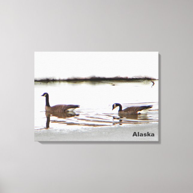 Honkers - Kanada - Gänse Leinwanddruck (Vorderseite)