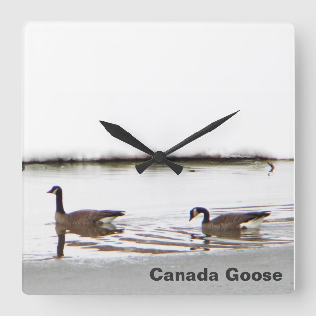 Honkers - Kanada - Gänse Quadratische Wanduhr (Vorderseite)