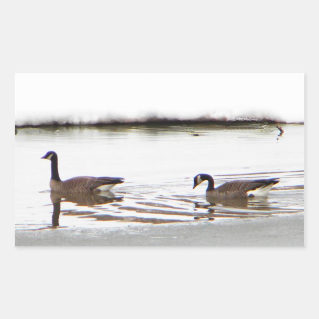 Honkers - Kanada - Gänse Rechteckiger Aufkleber (Vorderseite)