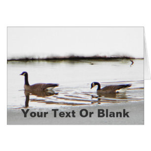 Honkers - Oies du Canada