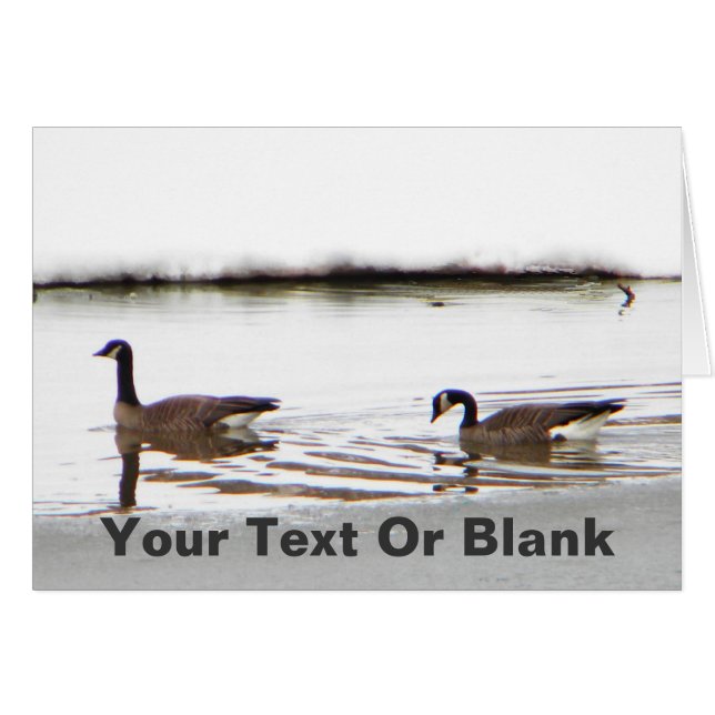 Honkers - Oies du Canada (Devant horizontal)