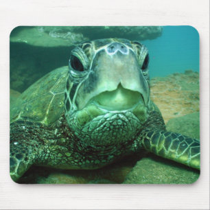 hono mousepad