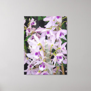 Honohono Orchideen Leinwanddruck