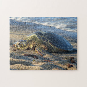 Honu auf dem warmen Sand