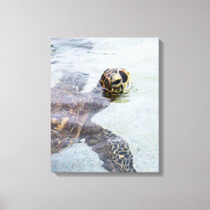 Honu hawaiische Meeresschildkröte - Leinwanddruck