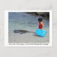 Honu in lagoon in front of Seaside Zen Cottage