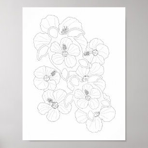 Honu Turtles Adult Coloring Poster