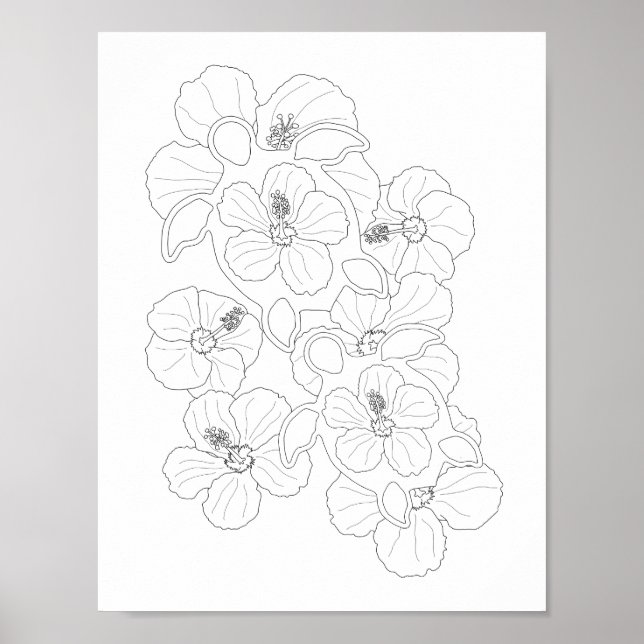 Honu Turtles Adult Coloring Poster (Vorne)