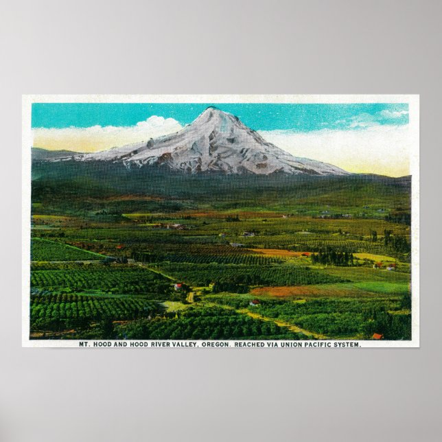 Hood from Hood River ValleyHood River Poster (Vorne)