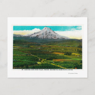 Hood from Hood River ValleyHood River Postkarte
