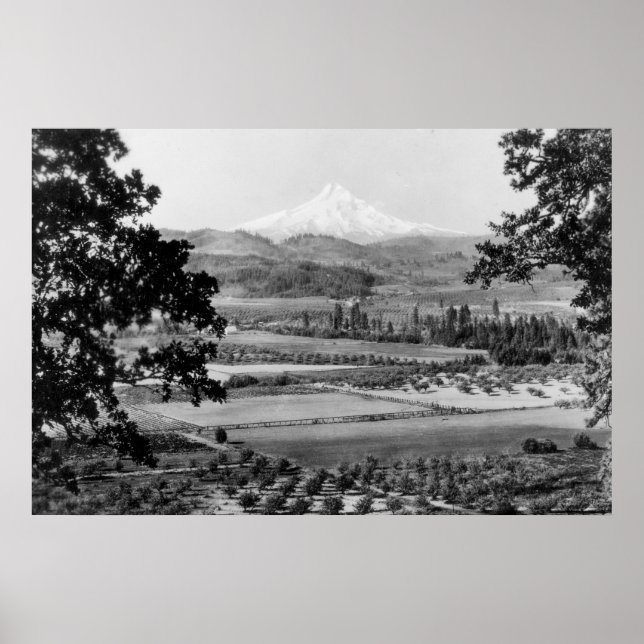 Hood vom Hood River Valley Fotograf Poster (Vorne)