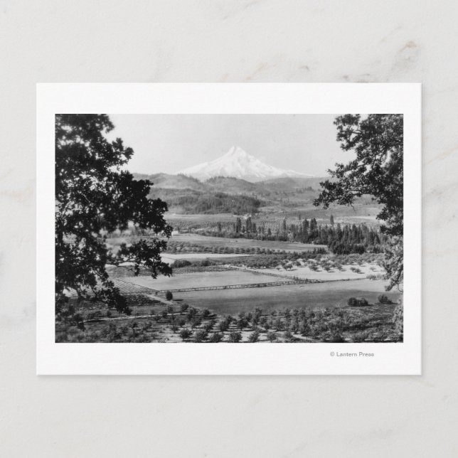 Hood vom Hood River Valley Fotograf Postkarte (Vorderseite)