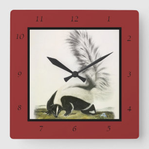 Hooded Skunk oder Großschwanzkunk aus Audubon Quadratische Wanduhr