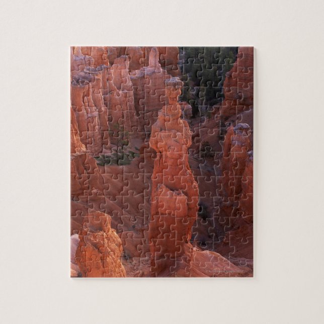 Hoodoo der Hammer des Thors auf Navajo-Spur (Vertikal)