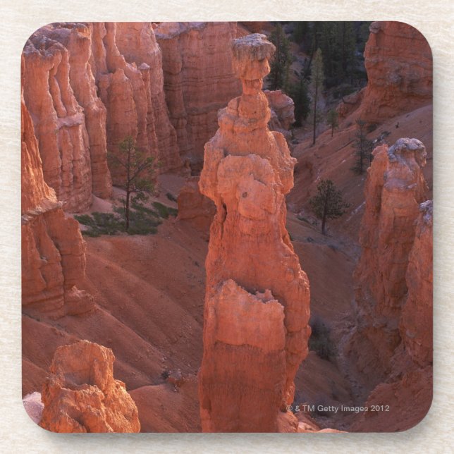 Hoodoo der Hammer des Thors auf Navajo-Spur Getränkeuntersetzer (Vorderseite)