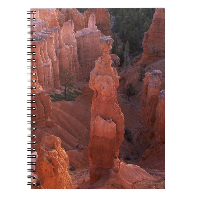 Hoodoo der Hammer des Thors auf Navajo-Spur Notizblock (Vorderseite)