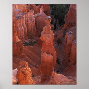 Hoodoo der Hammer des Thors auf Navajo-Spur Poster