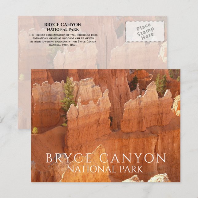 Hoodoos of Bryce Canyon Nationalpark Postcard Postkarte (Vorne/Hinten)