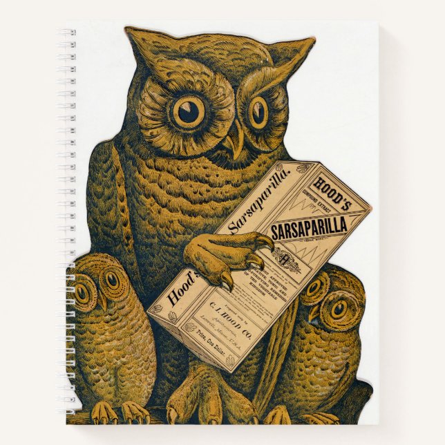 Hood's Sarsaparilla Wiederherstellung Tonic. Notizbuch (Vorderseite)
