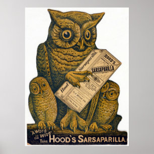 Hood's Sarsaparilla Wiederherstellung Tonic. Poster