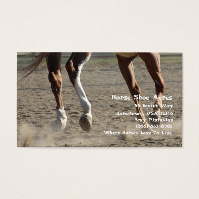 Hooings en mouvement (Devant)