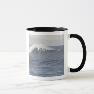 Hookipa Beach Park, Nordküste von Maui, Tasse