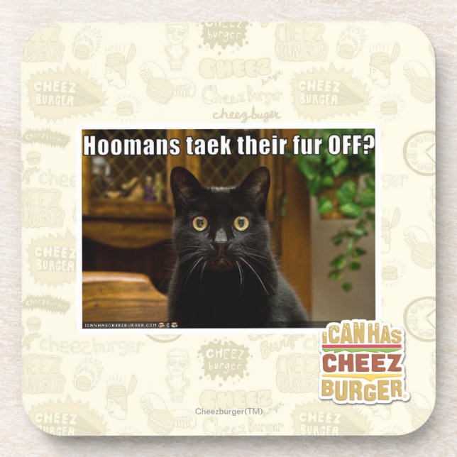 Hoomans Taek dort Pelz WEG? Getränkeuntersetzer (Vorderseite)