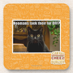 Hoomans Taek dort Pelz WEG? Getränkeuntersetzer