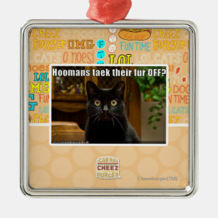 Hoomans Taek dort Pelz WEG? Ornament Aus Metall