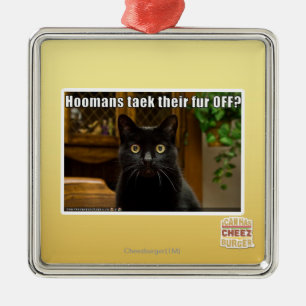 Hoomans Taek dort Pelz WEG? Silbernes Ornament