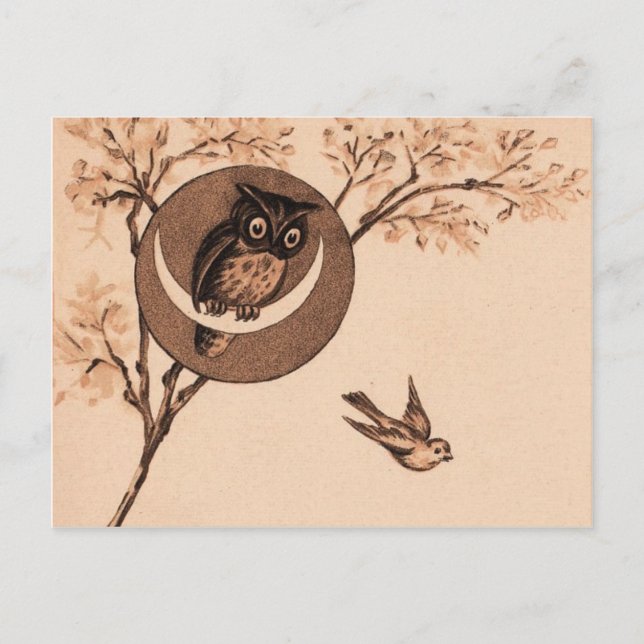 Hoooot! Postkarte (Vorderseite)