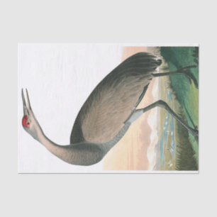 Hooping Crane von John James Audubon Seidenpapier