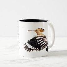 Hoopoe Bird Illustration Bird Art Birdwatcher Gesc