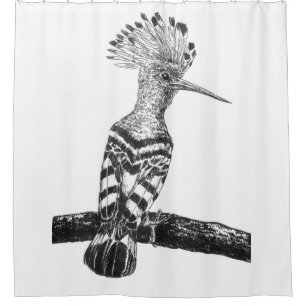 Hoopoe zeichnend duschvorhang