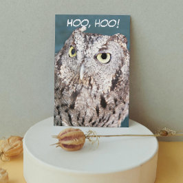 Hooting Screening Owl Funny Birthday Karte