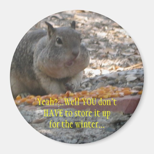 Hoover Squirrel Magnet (Vorne)
