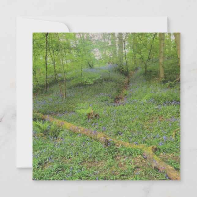 Hop Yard Wood Greetings Card Mitteilungskarte (Vorderseite)