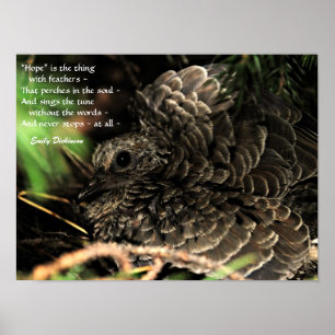 "Hope" est la chose avec plumes Poster