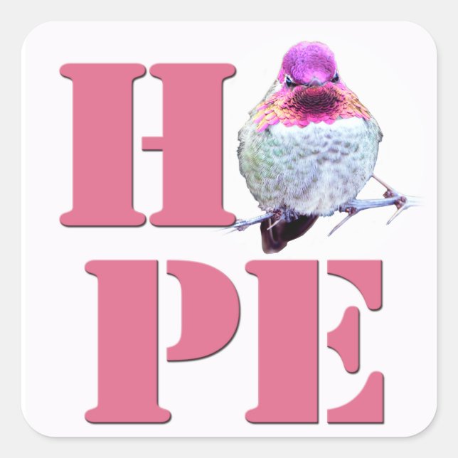 HOPE Pink Anna's Hummingbird Foto Square Sticker (Vorderseite)