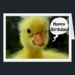 HOPE YOUR BIRTHDAY IS JUST DUCKY SAYS DUCKLING<br><div class="desc">THIS IS GREAT FOR ANY PERSON-FRIEND OR FAMILY-IN YOUR LIFE FOR "ANY BIRTHDAY" THEY MAY BE CELEBRATING FOR THIS DUCK IS SERIOUS... . at THAT FACE!</div>