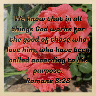 Hopeful Bible Verse Romans 8:28 Roses Christian
