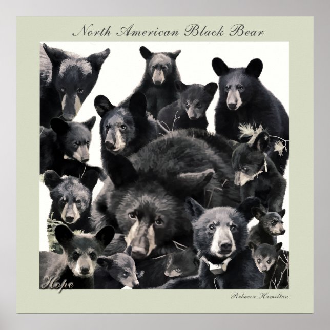 Hope's LIfe Poster (Vorne)