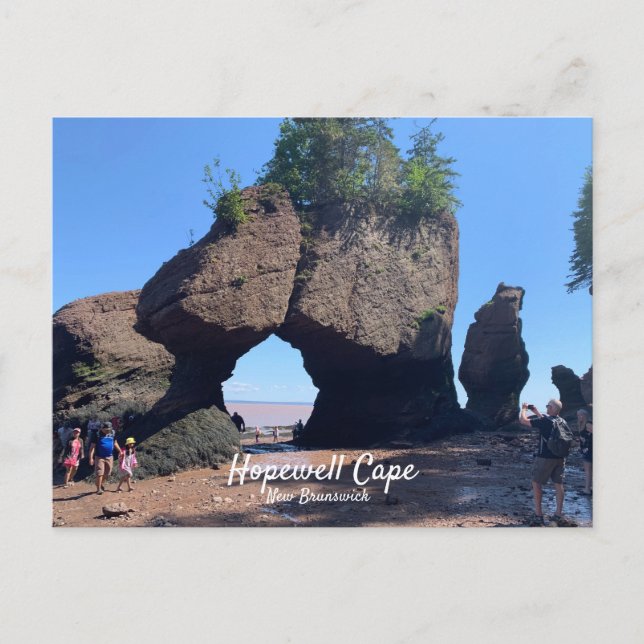 Hopewell Cape New Brunswick Postcard Postkarte (Vorderseite)