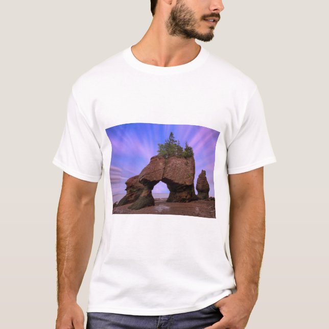 Hopewell Felsen T-Shirt (Vorderseite)